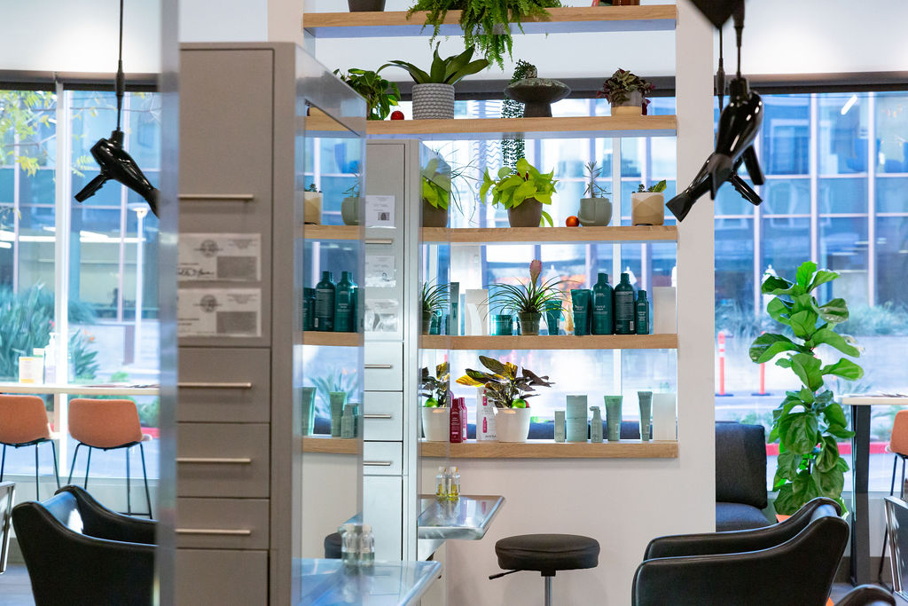 A modern hair salon with styling stations, chairs, product shelves, potted plants, and large windows overlooking an urban street. - Atelier Studio, San Jose, CA
